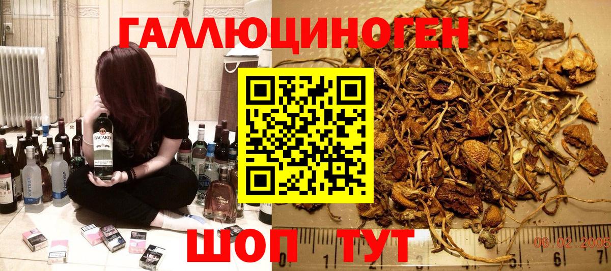 Галлюциногенные грибы MAGIC MUSHROOMS Чайковский