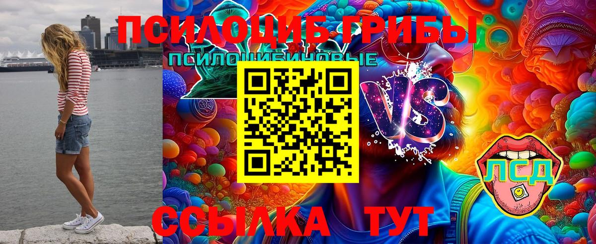 Чайковский  Галлюциногенные грибы мицелий  Вход с VPN  Псилоцибиновые грибы Cubensis 